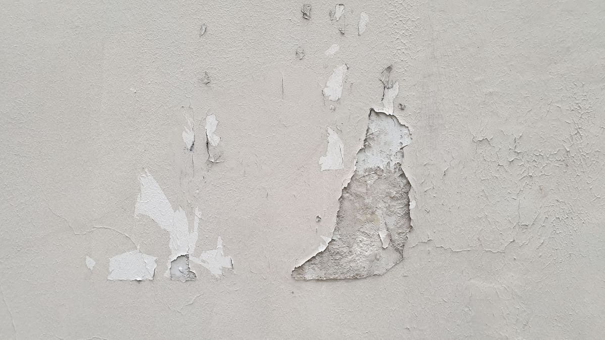 Trou de pivert visible dans le crépi d'une façade endommagée